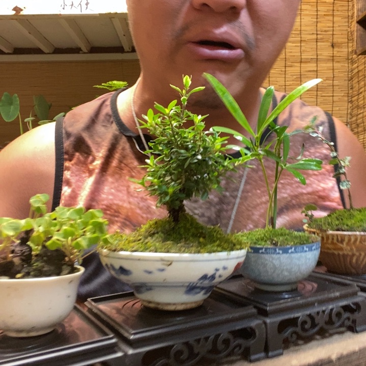 一物一拍所见即所得219