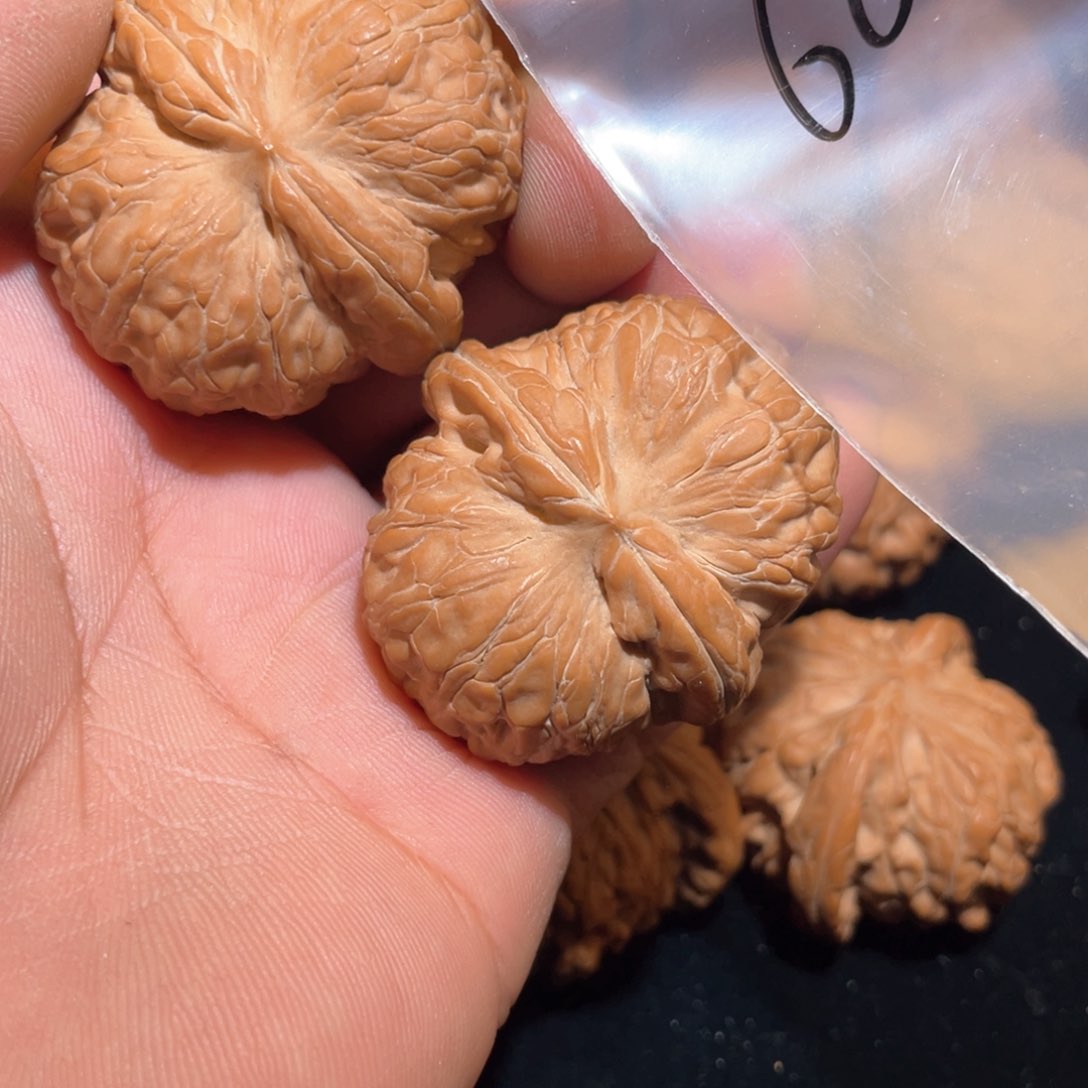 文玩核桃把件牛**王元宝