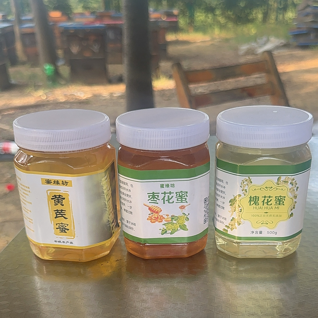 王炸蜂蜜组合黄芪枣花槐花