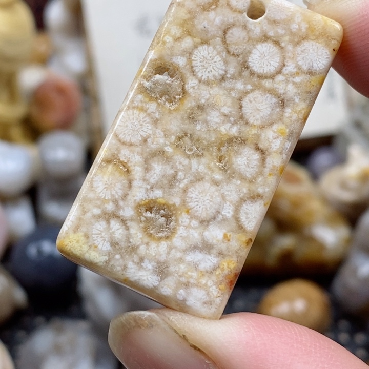 颈饰未镶嵌硅化珊瑚（珊瑚玉）有瑕