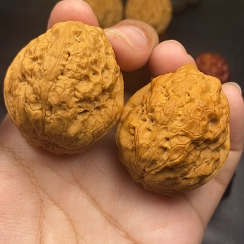 文玩核桃把件41尺金蟾王