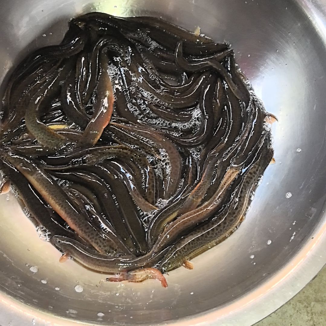 石台小李代购泥鳅1.6斤