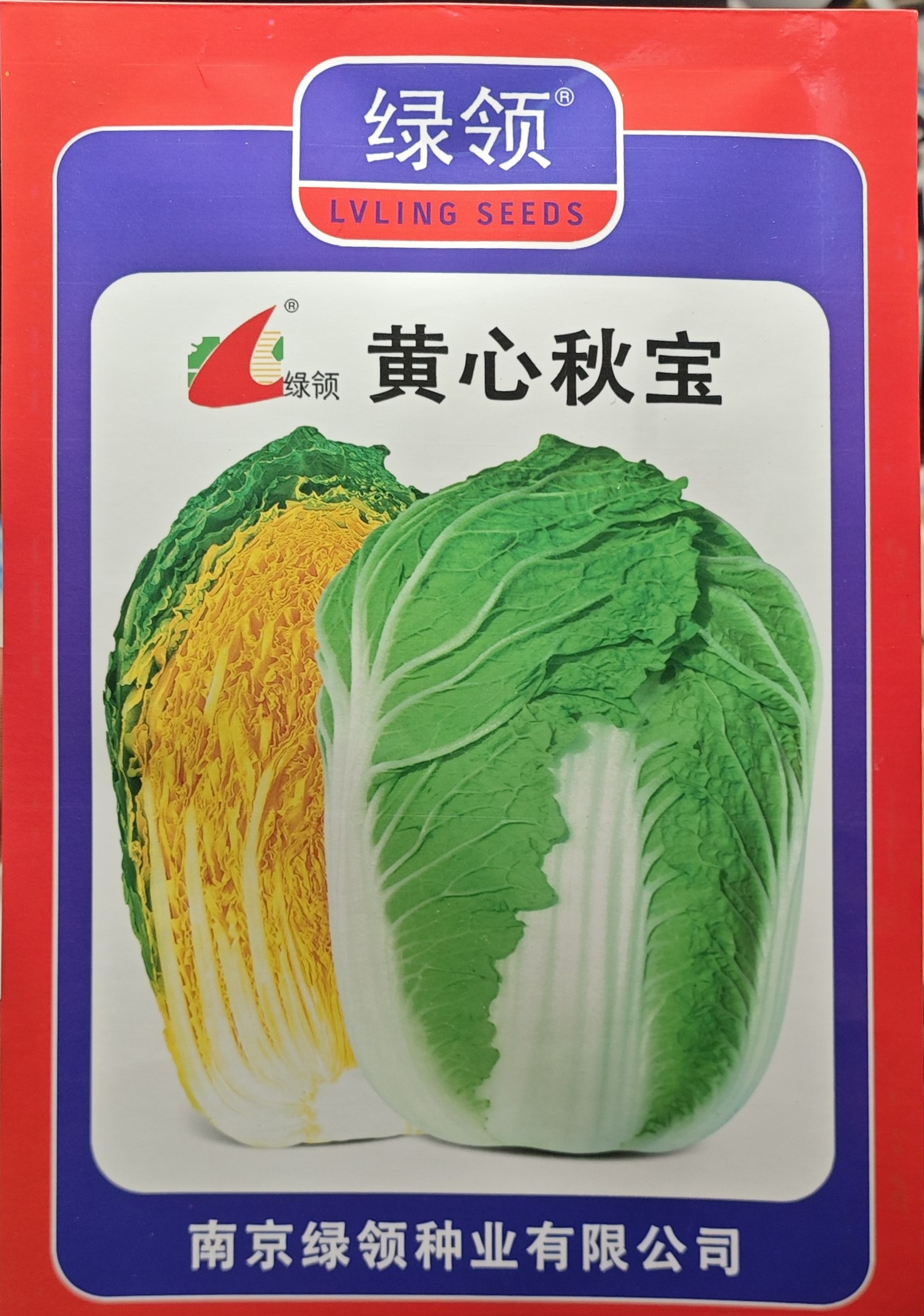 黄心大白菜种子口感鲜嫩秋季种植黄心秋宝旺庆春3号