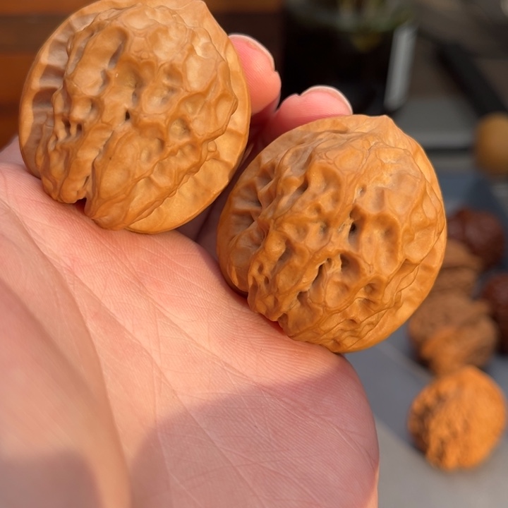 文玩核桃把件蛤蟆眼 39