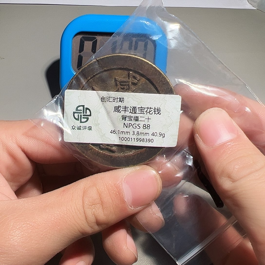 寒***苏铜有鲤。。。咸丰8390