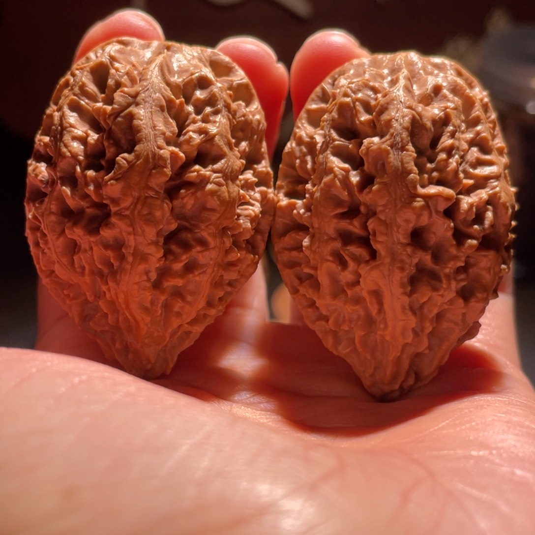 文玩核桃吊坠小火麒麟4