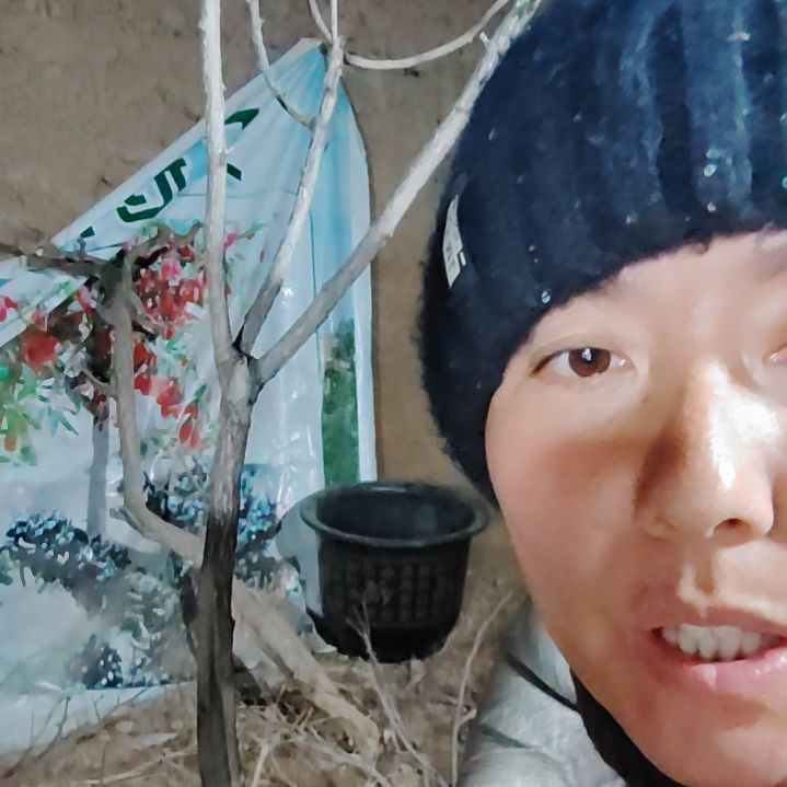 戴***_完全开放文冠树一颗