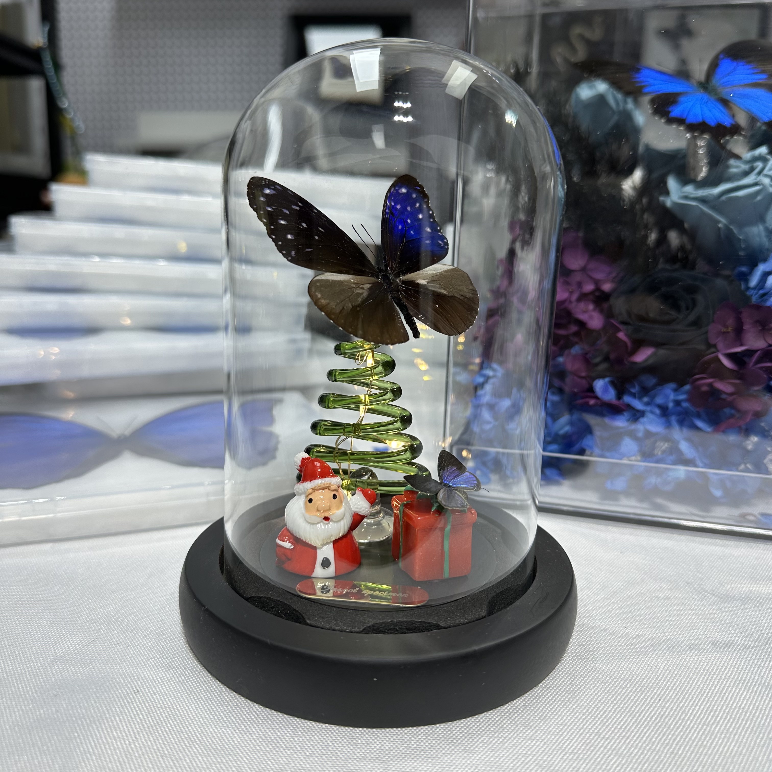 圣诞礼物女生送男生儿童创意蝴蝶标本装饰画摆件2025新款情侣礼物