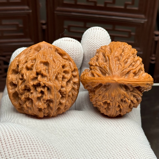 精选水龙纹狮子头，边44肚45高43，原生态山地果骨质密实，克重压手