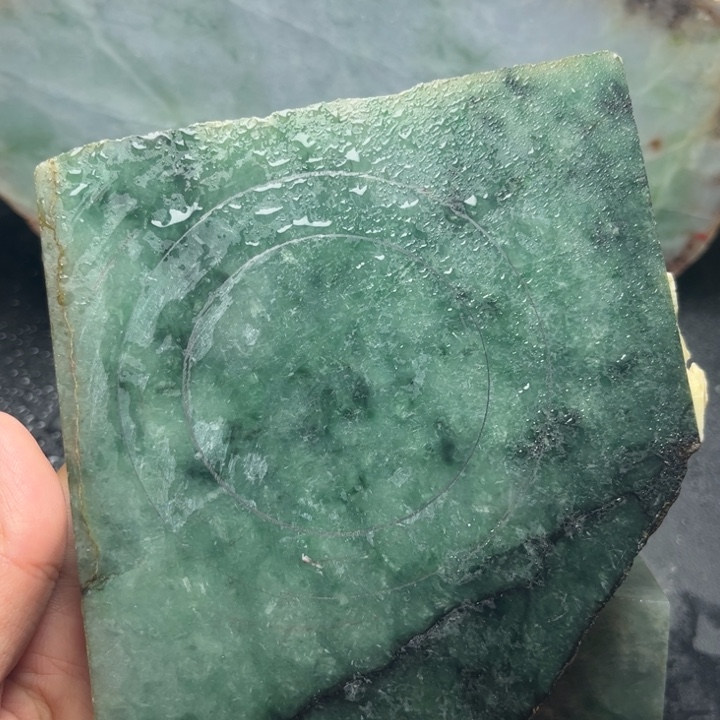 虫***虫翡翠未镶嵌挂件翡翠800