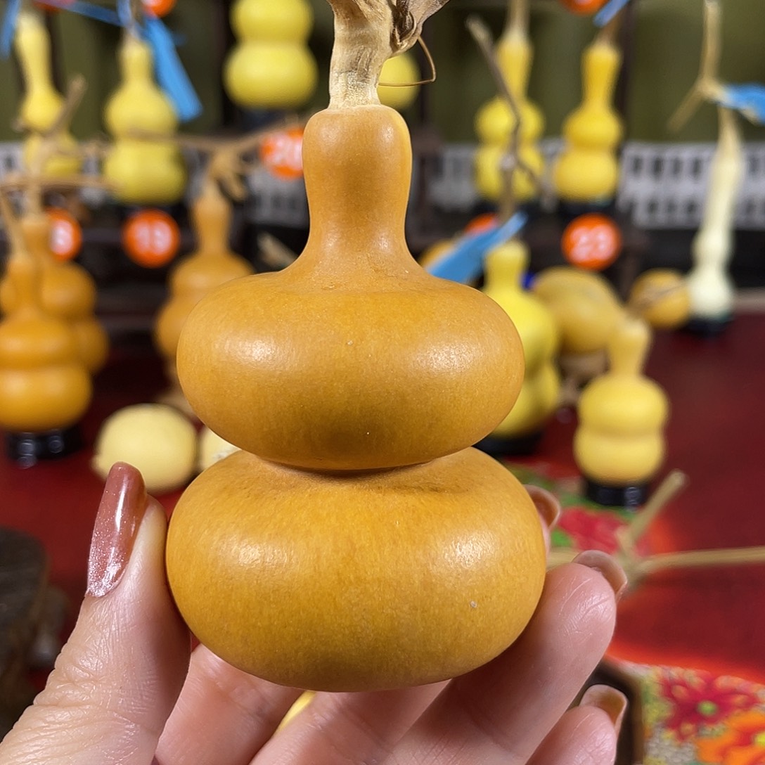 发哈哈哈哈给vv把v并不好