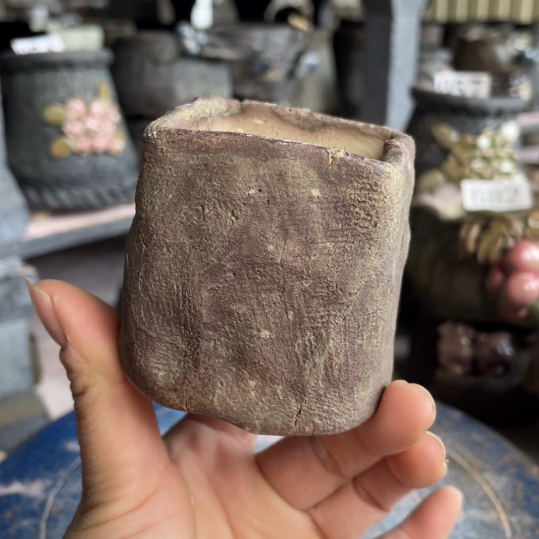 红陶一个人的时候就