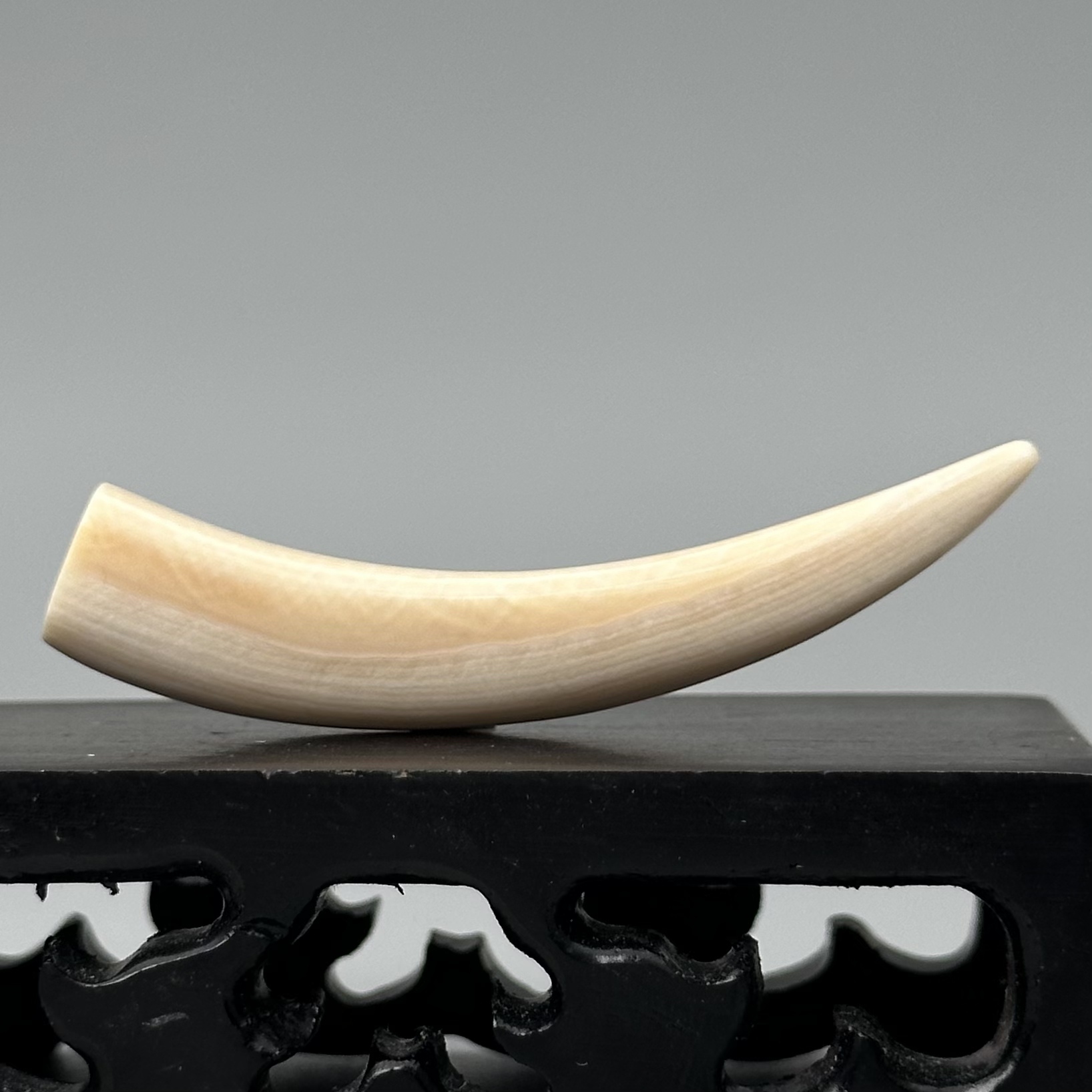 DEZHI/德志5.1g带皮牙尖57*10*10m猛犸牙吊坠已打孔配吊坠绳K234