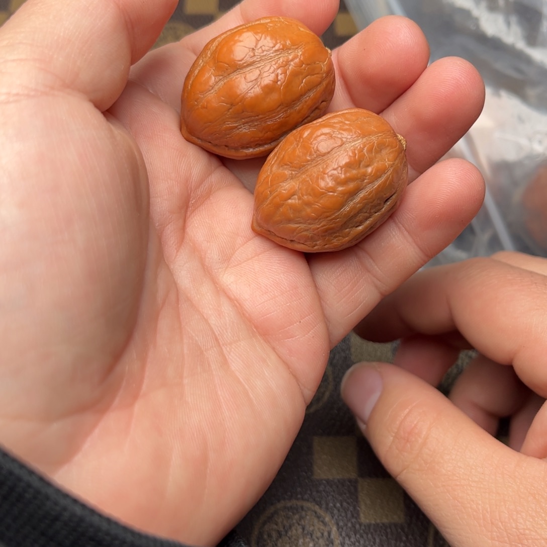 文玩核桃把件32000000000