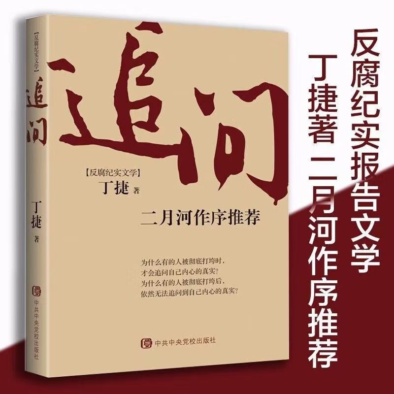 追问反腐败官场小说官场小说反腐纪实文学反腐警示录正版现货