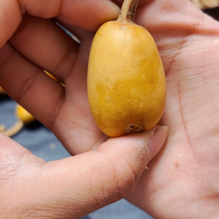 安*88888888888888888