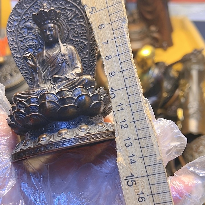 我24568888764887655