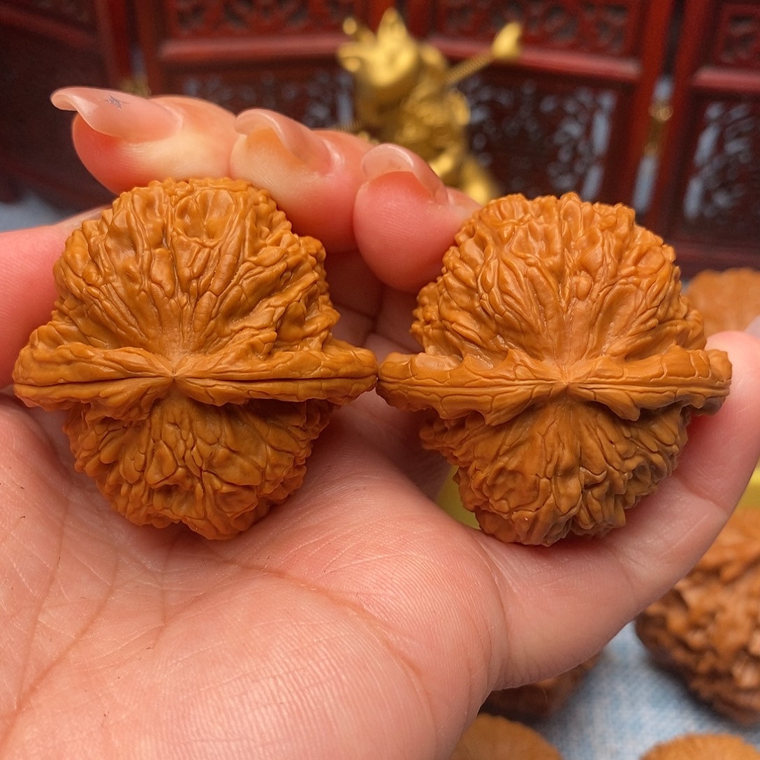 把件文玩核桃43精品毕业白狮子