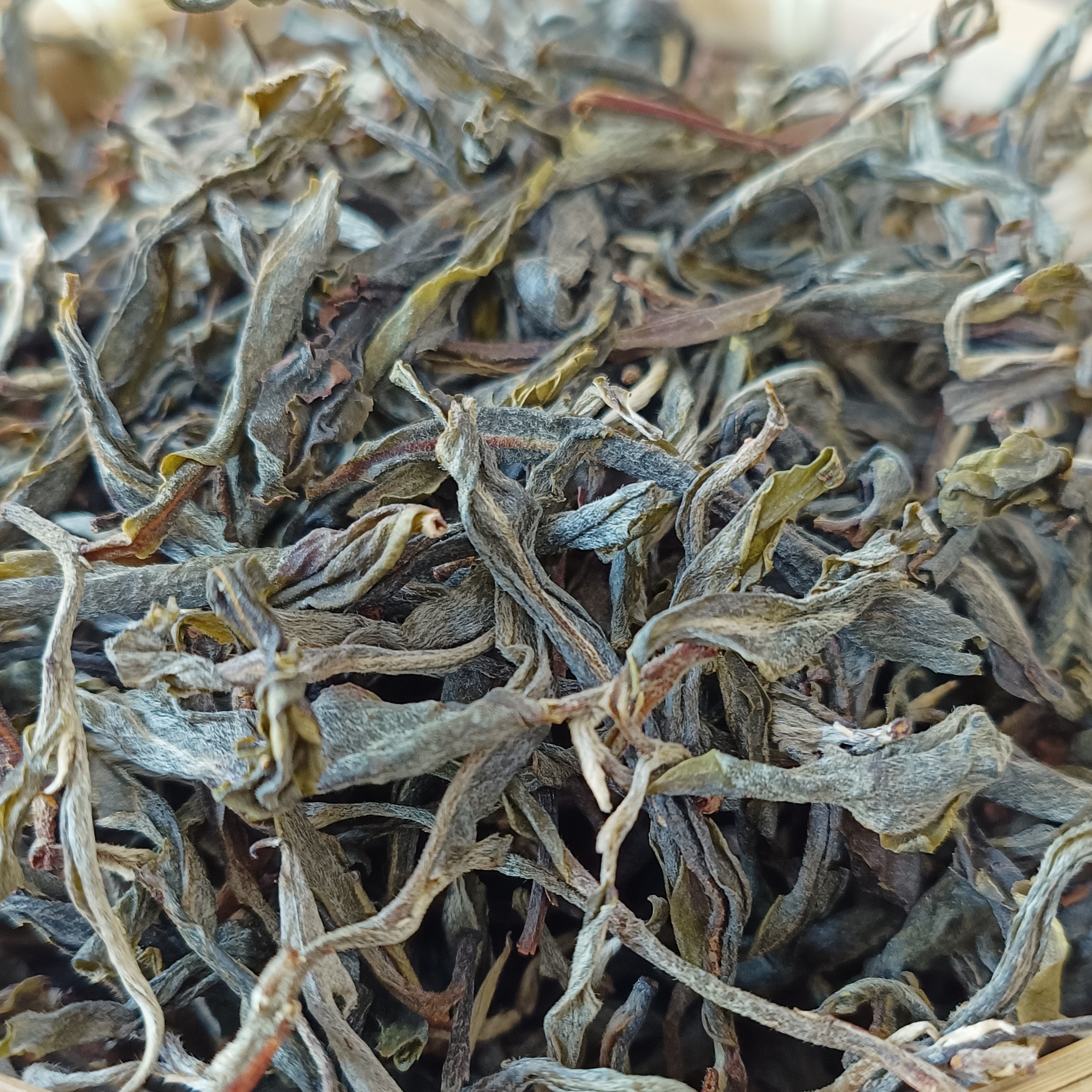 临沧茶区高杆古树茶 细腻绵柔 蜜韵花香 甜润顺滑