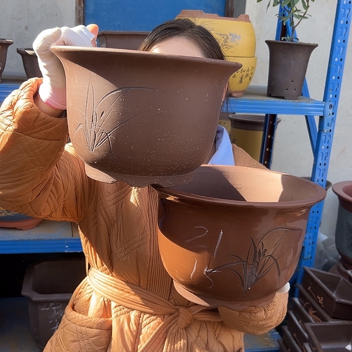 21+21平角金钟花盆