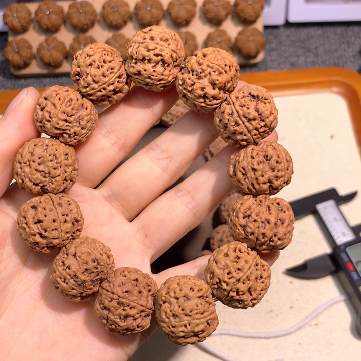 吊坠金刚菩提31号 22平头平尾梅花