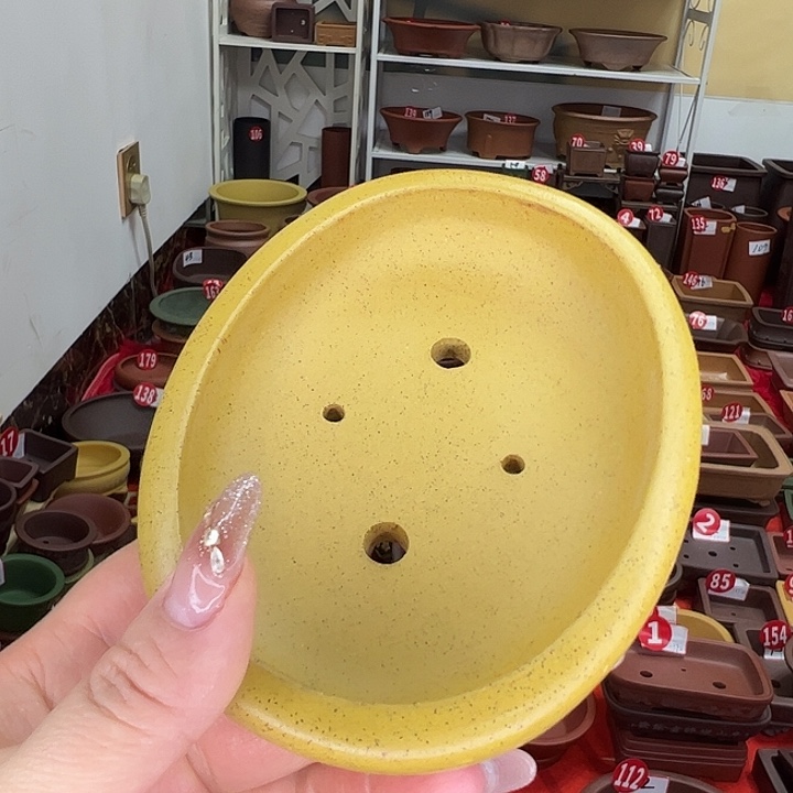 紫砂花盆小花盆好看