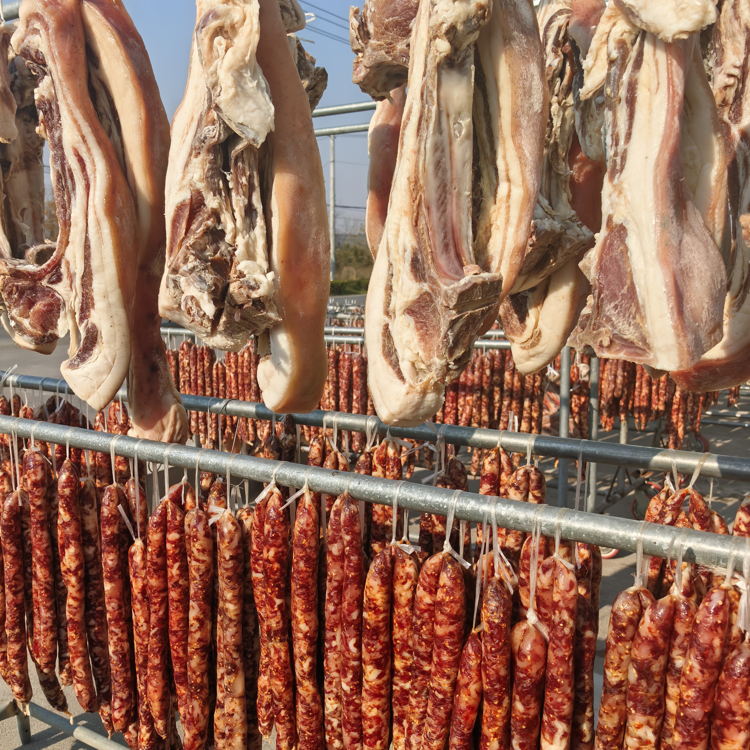 健园散养大白鹅 香肠猪肉