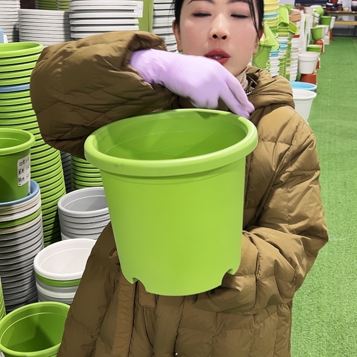 特价4号四季口25高21.5果绿8只无托