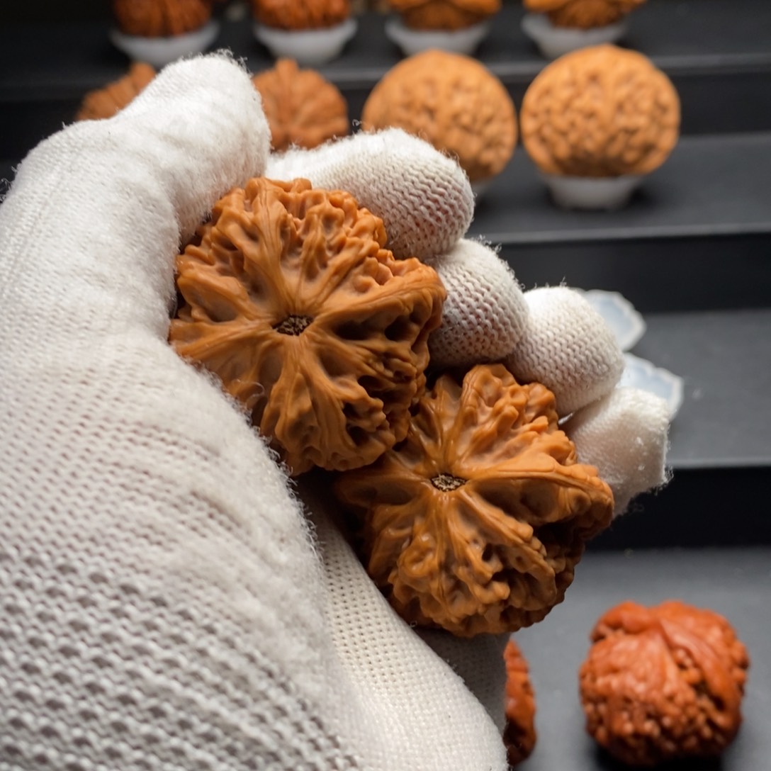 文玩核桃把件宠****馆核为贵