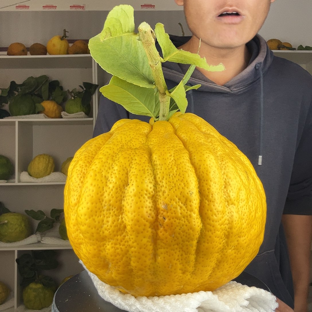 用***3香水柠檬云南高山大香橼