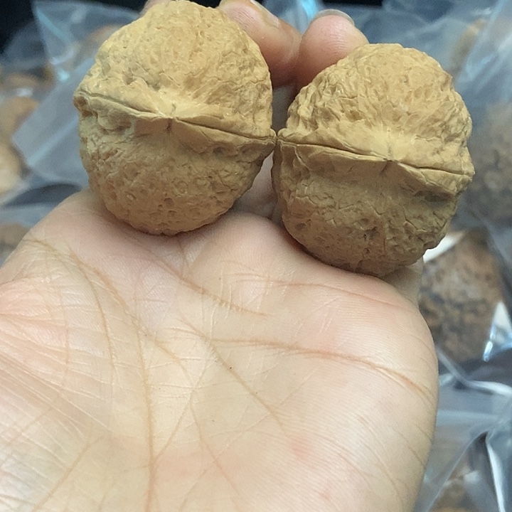 木质类云南铁核桃基地91