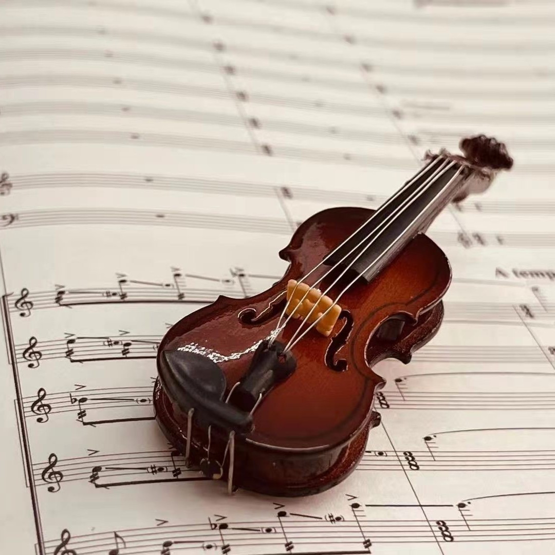 【胸针】微型乐器  德国进口音乐文创