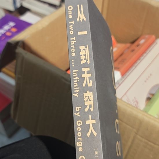 从一到无穷大没书衣（务必塑封）