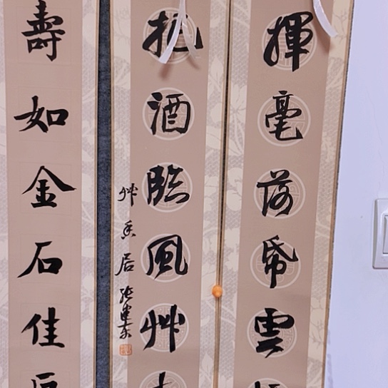 书法张建东老师书法作品