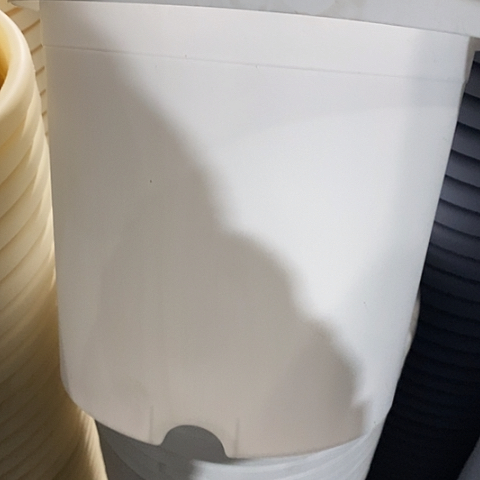 树脂四季5号纯白无托6个