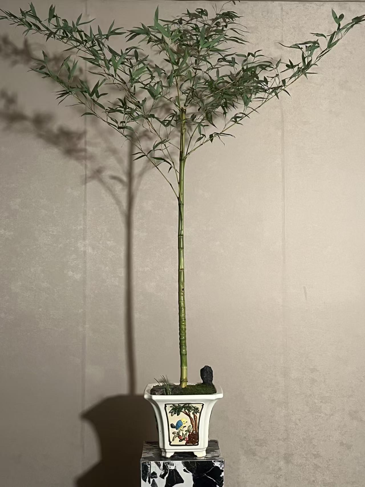 【言一精选】A005 龙鳞竹/老桩 茶台意境