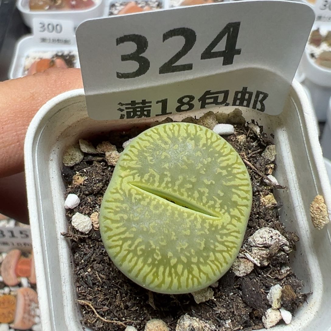 【闪购商品】 324。    