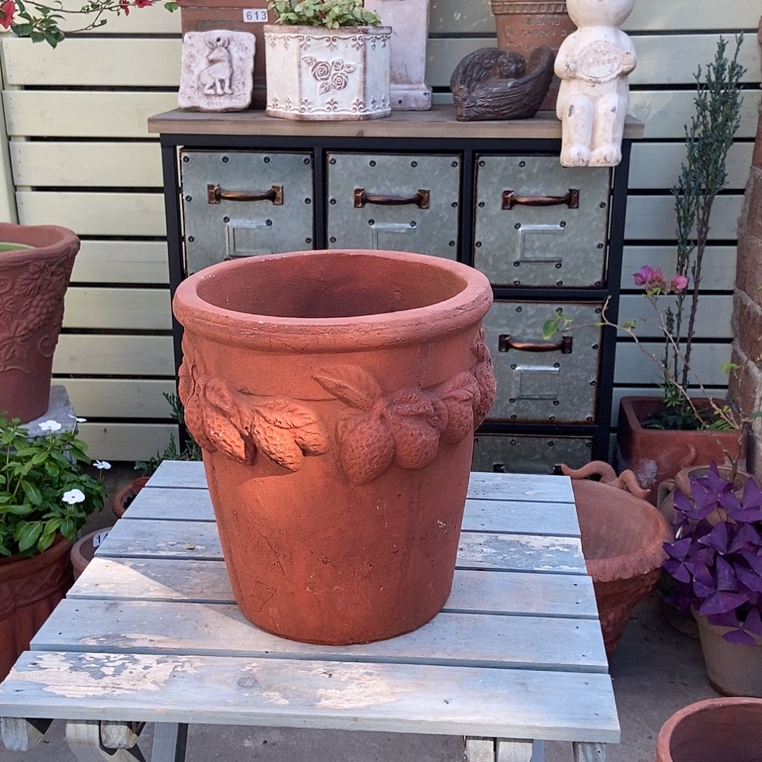 柠檬口20内17高22