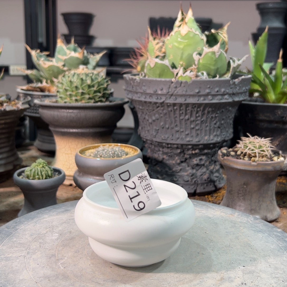 景德镇手工素里内口8高5.5