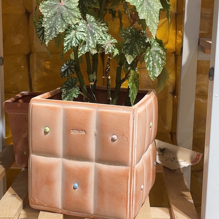 红陶中号陶粒花盆一个