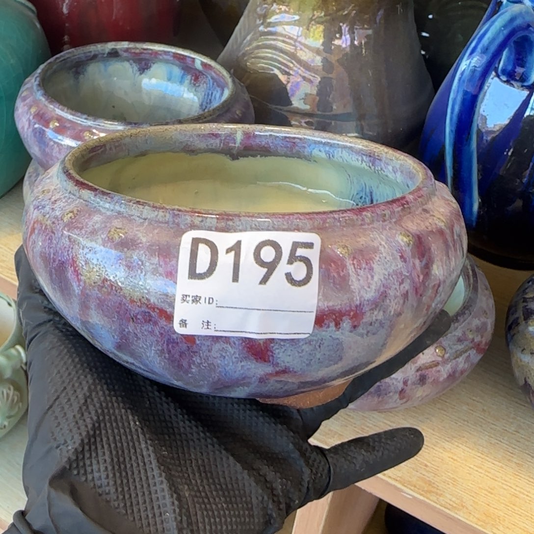 红***星紫砂花盆195         