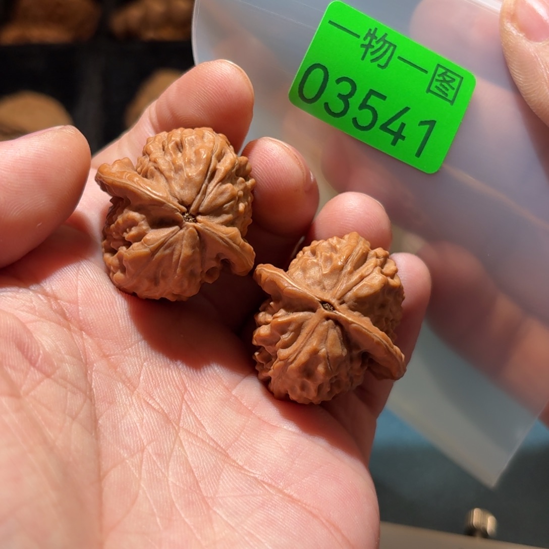 文玩核桃把件大红袍