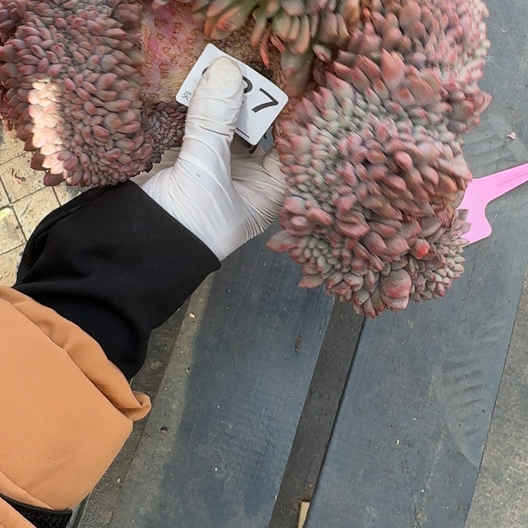 #627，售后时间签收起7天内。