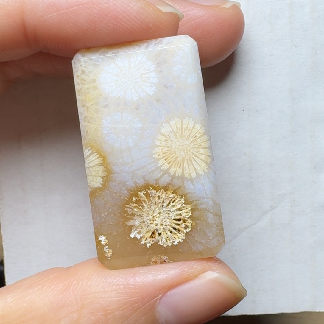 硅化玉带骨骼的大花未镶嵌