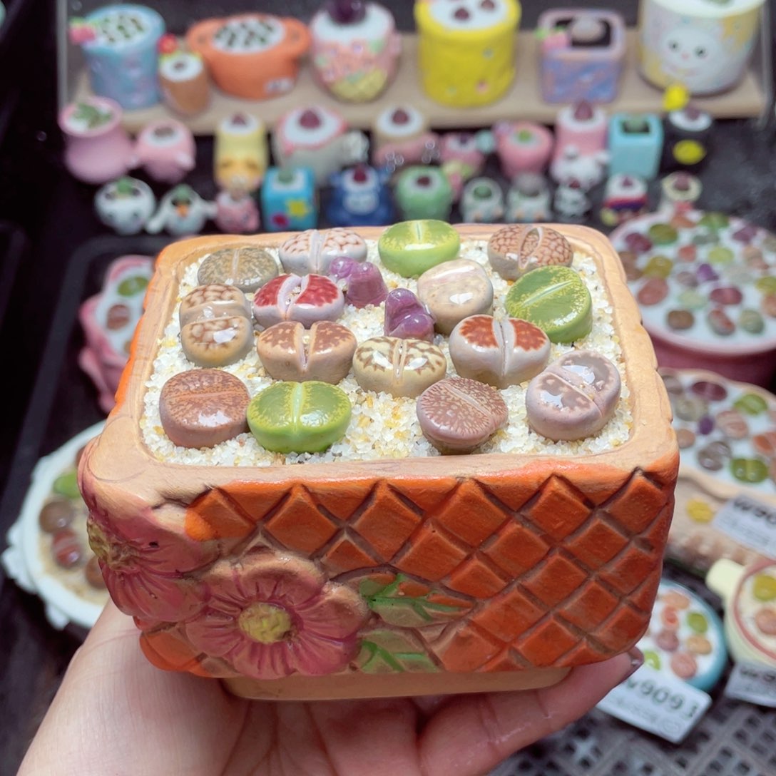 w9095 -零下地区拍保温箱-15支持寄养