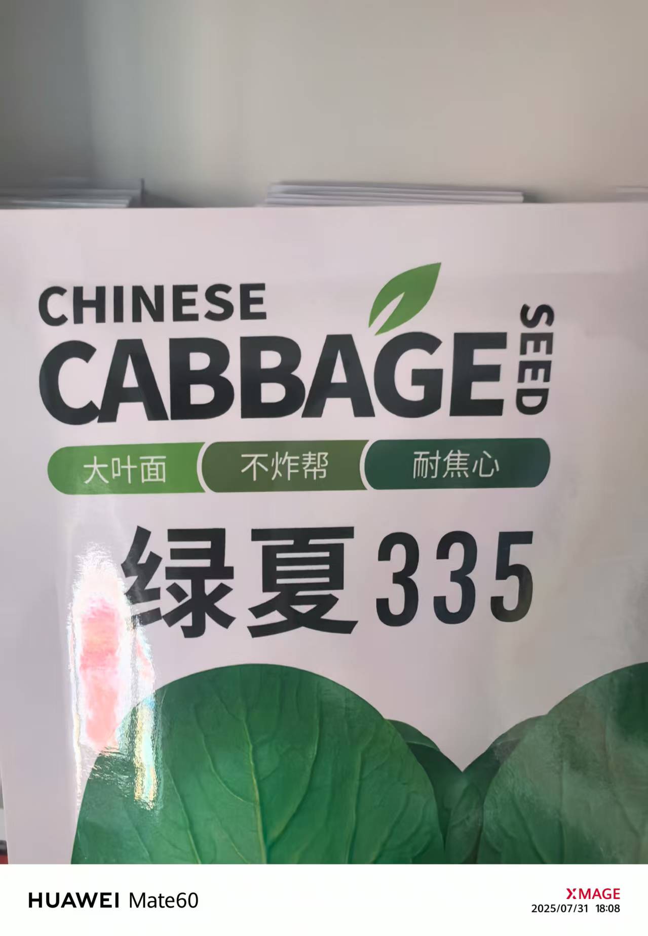 中微量  绿夏335  大叶  