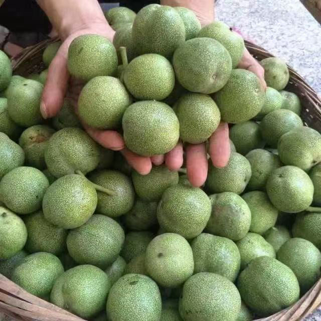 庆阳鲜核桃9斤包邮