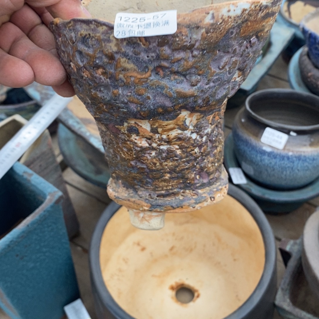 67号花盆内12高15花盆