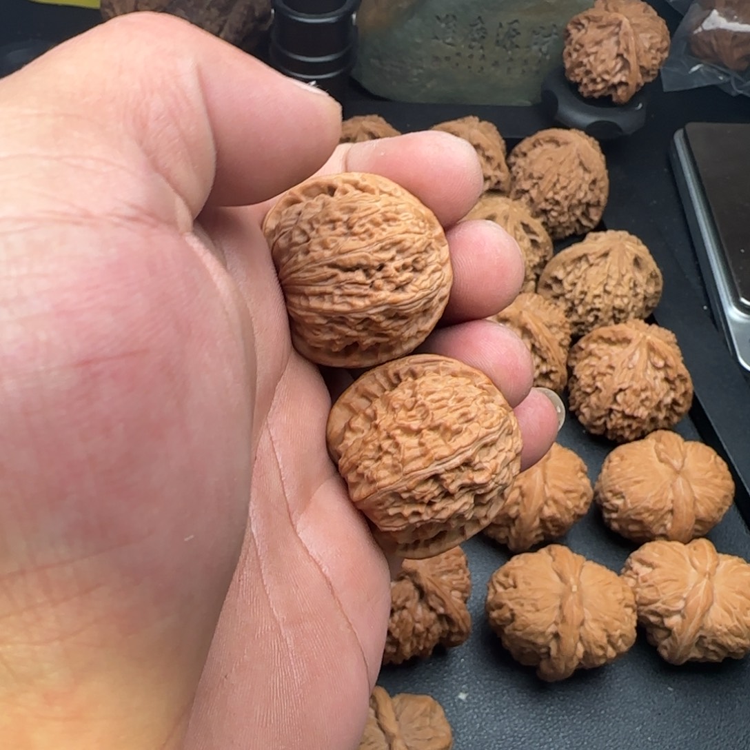 d***g34尺白狮一个又黄无修