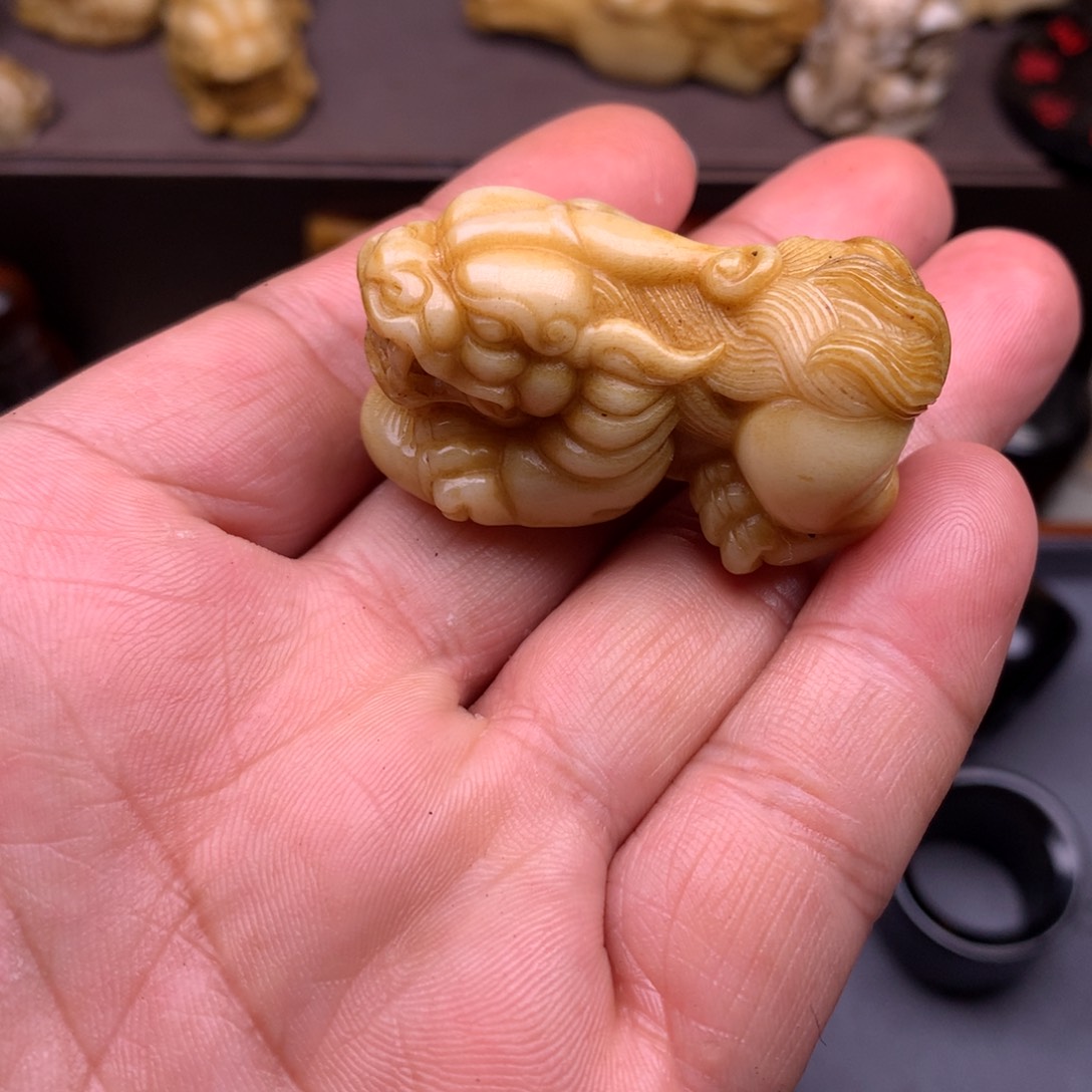 驼骨其他好看又好看